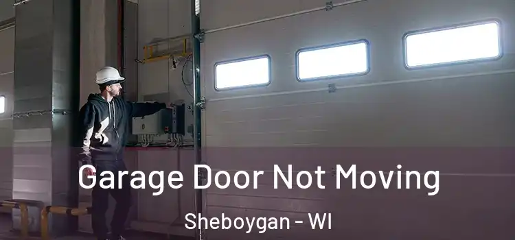  Garage Door Not Moving Sheboygan - WI