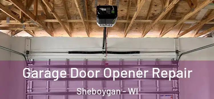 Garage Door Opener Repair Sheboygan - WI