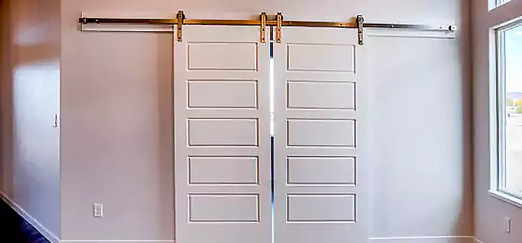 Glass Barn Door with Installation Hardware Kit Sheboygan