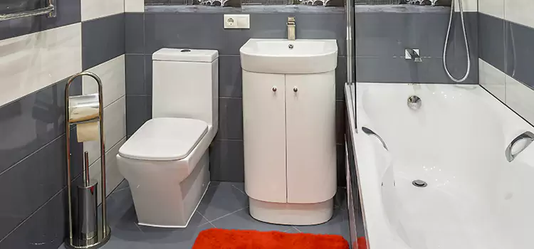 Hansgrohe Shaving Mirror Sheboygan